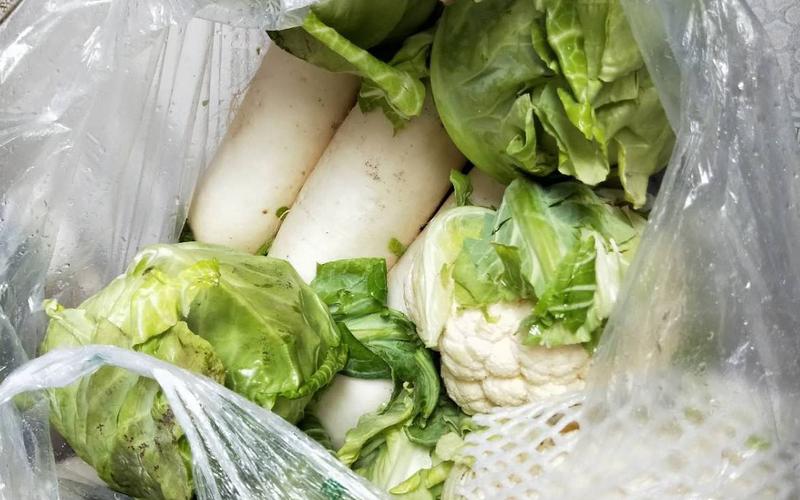 湖北宜昌蔬菜进城免费发 每户领到20斤新鲜蔬菜 共克时艰暖人心