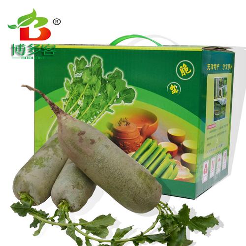 沙窝萝卜 8斤装 天津水果萝卜 新鲜蔬菜 青萝卜绿 农产品