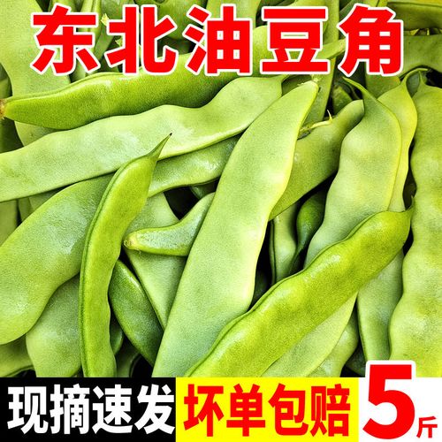东北油豆角新鲜蔬菜农家开锅烂无丝当季面豆角非九月青